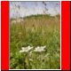 hochturm 2003_17.html